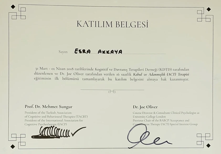 Kabul ve Kararlılık Terapisi (ACT)