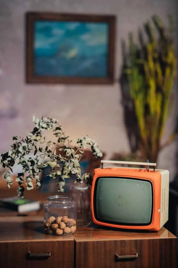 Eski bir dolabın üzerinde turuncu retro bir televizyon, kavanoz ve bitkiler