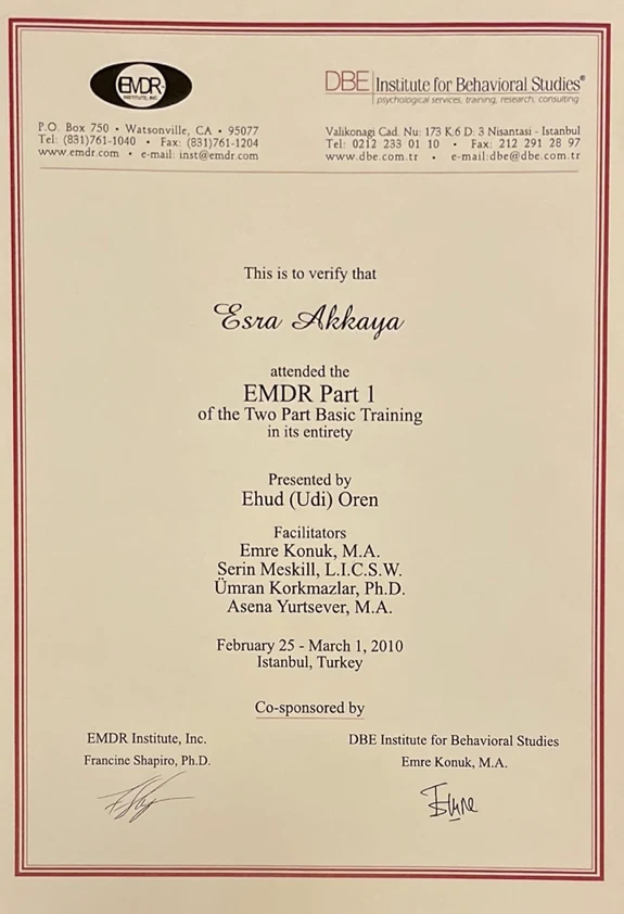 EMDR 1. Düzey Eğitimi