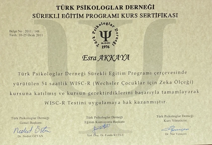 WISC-R Çocuk Zekâ Testi